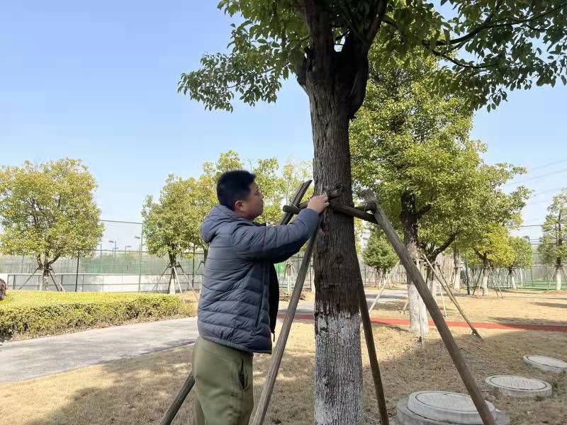 践行雷锋精神，苏体场馆在行动