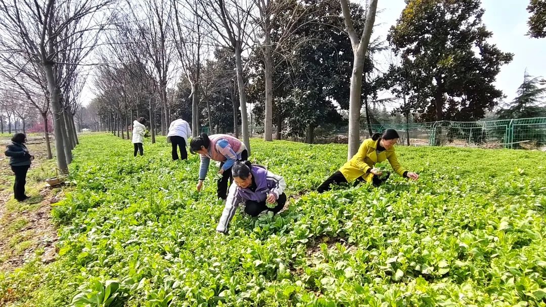 赴春日之约 赞巾帼芳华——苏体实业公司工会组织开展庆祝“三八”国际劳动妇女节系列活动